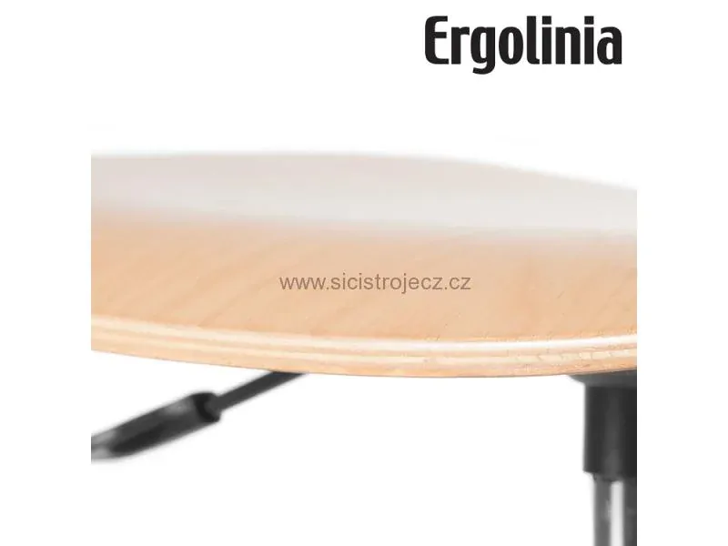 Průmyslová židle ERGOLINIA 10004